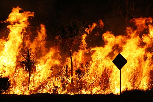 Bushfires in Kwinana: How to Stay Safe