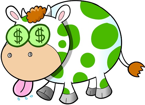 Turn a Holiday House into a Cash Cow